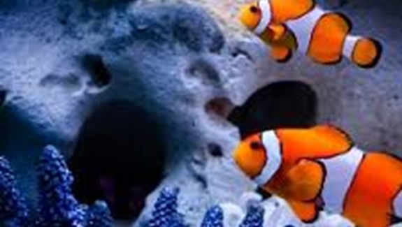 Stream Cirkulární ekonomika