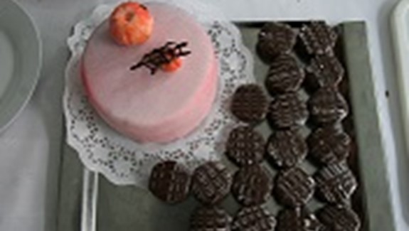 Suroviny-studijní okruhy