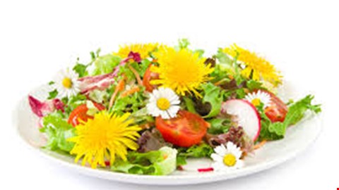 Jedlé květy v gastronomii